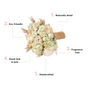 Serenity Natural Dried Floral Bouquet Green