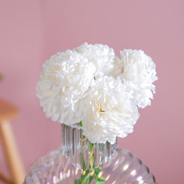 Chrysanthemum White