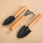 Garden Enthusiast's Gift Hamper Set of 3