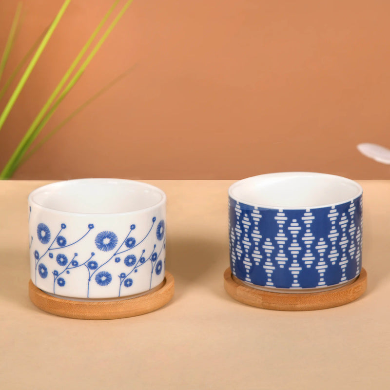 Garden Enthusiast's Gift Hamper Set of 3