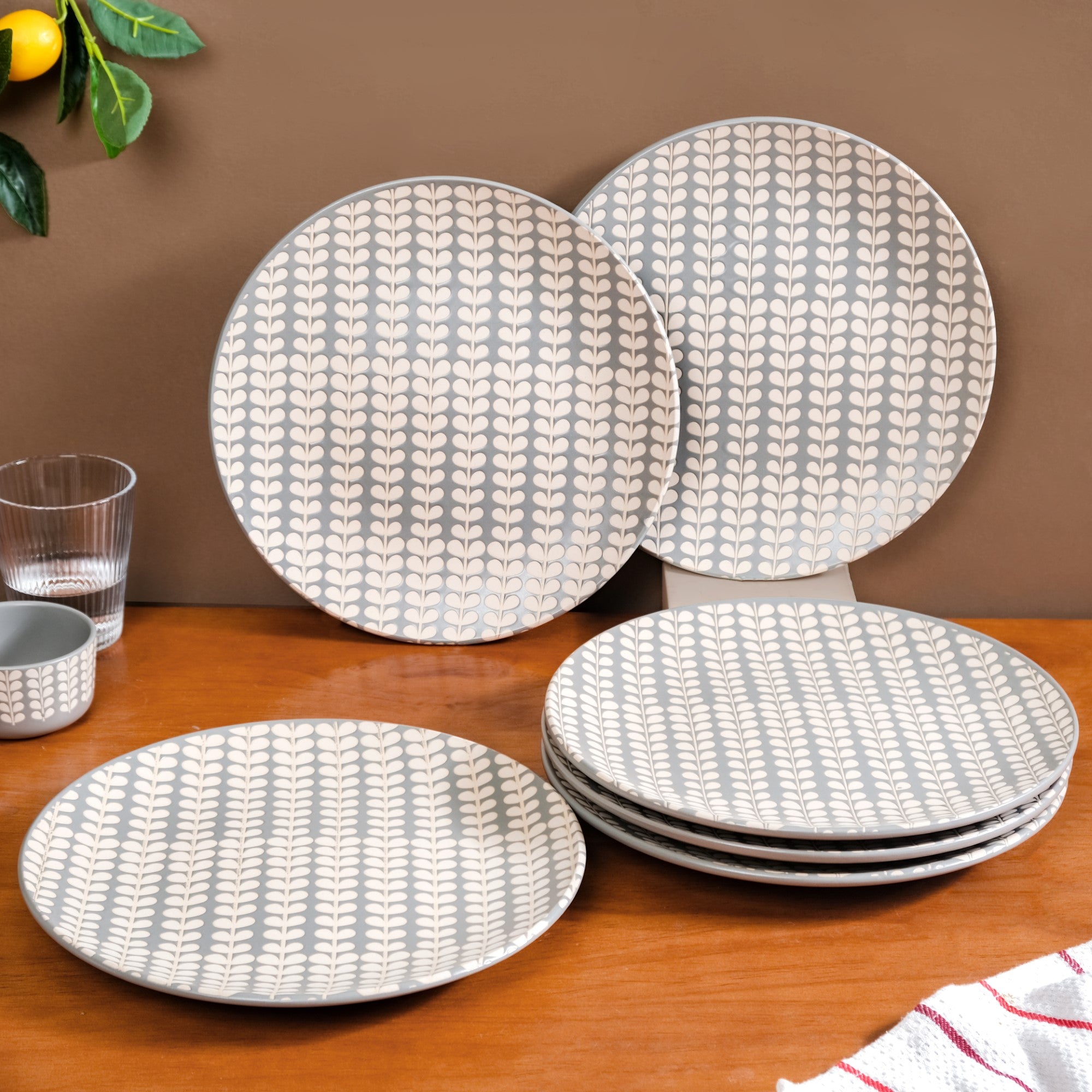 Robinia Ceramic Dinner Plates Set of 11 Inch