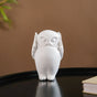 Wise Owl Resin Showpiece White Set Of 3