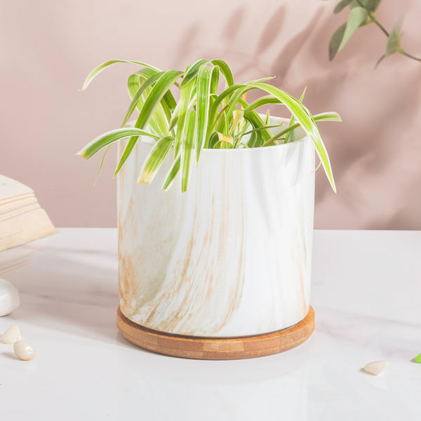 Carrara Brown Splash White Planter With Wooden Coaster