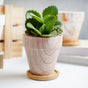 Ceramic Planter - Indoor planters and flower pots | Home decor items