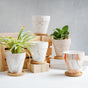 Ceramic Planter - Indoor planters and flower pots | Home decor items