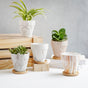Ceramic Planter - Indoor planters and flower pots | Home decor items