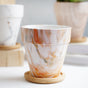Ceramic Planter - Indoor planters and flower pots | Home decor items