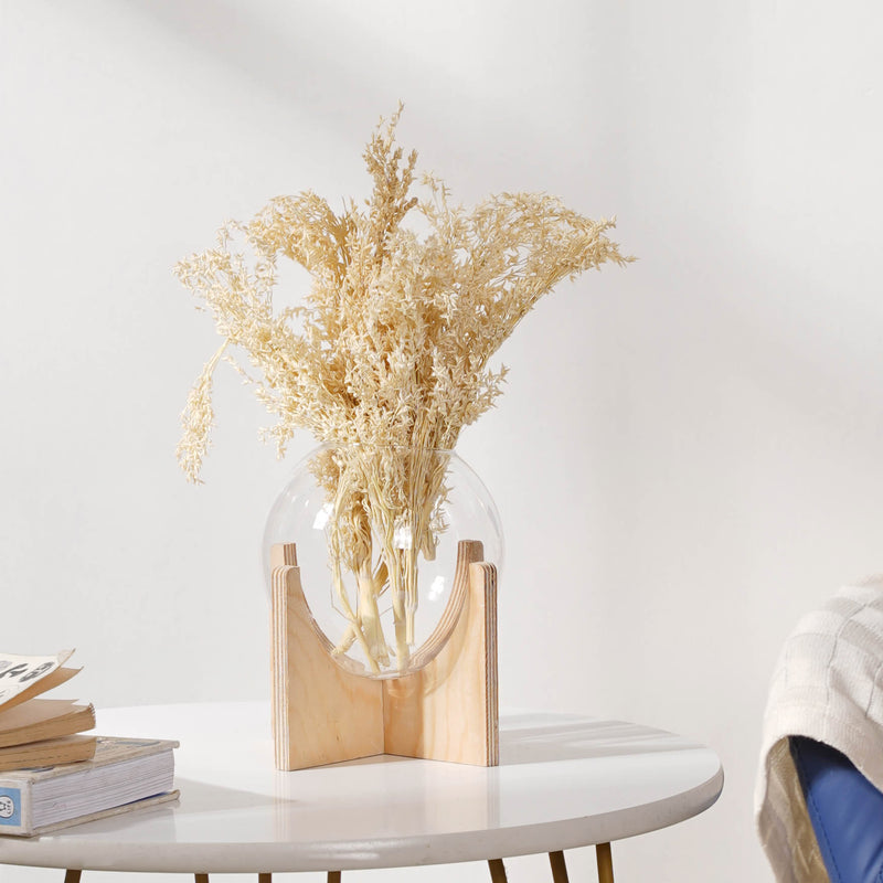 Corn Grass Stem - Natural and sustainable home decor products | Room decoration items