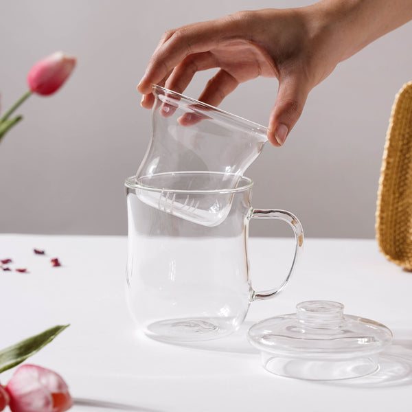 Double Walled Glass Infuser Teapot with Strainer