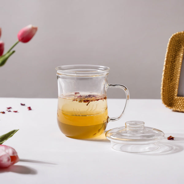 Double Walled Glass Infuser Teapot with Strainer