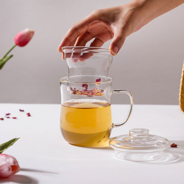 Double Walled Glass Infuser Teapot with Strainer