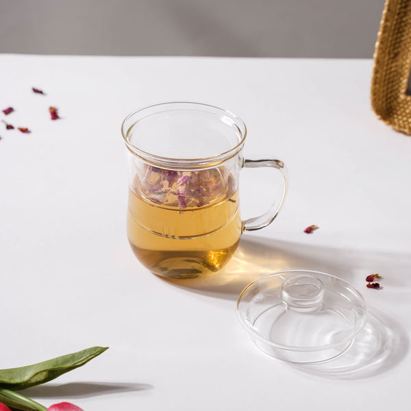 Double Walled Glass Infuser Teapot with Strainer