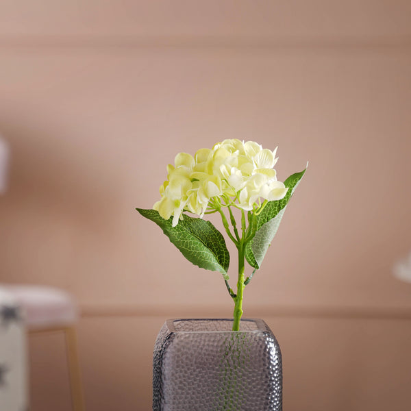 Hydrangea Blossom