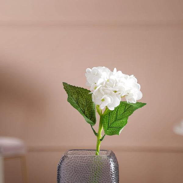 Hydrangea Blossom