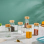 Seasoning Jars With Lid Set Of 6 100ml - Jar