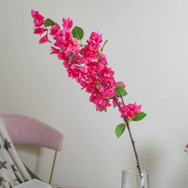 Bougainvillea Flower