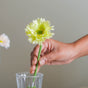 Imitation Chrysanthemum Flower - Artificial flower | Home decor item | Room decoration item