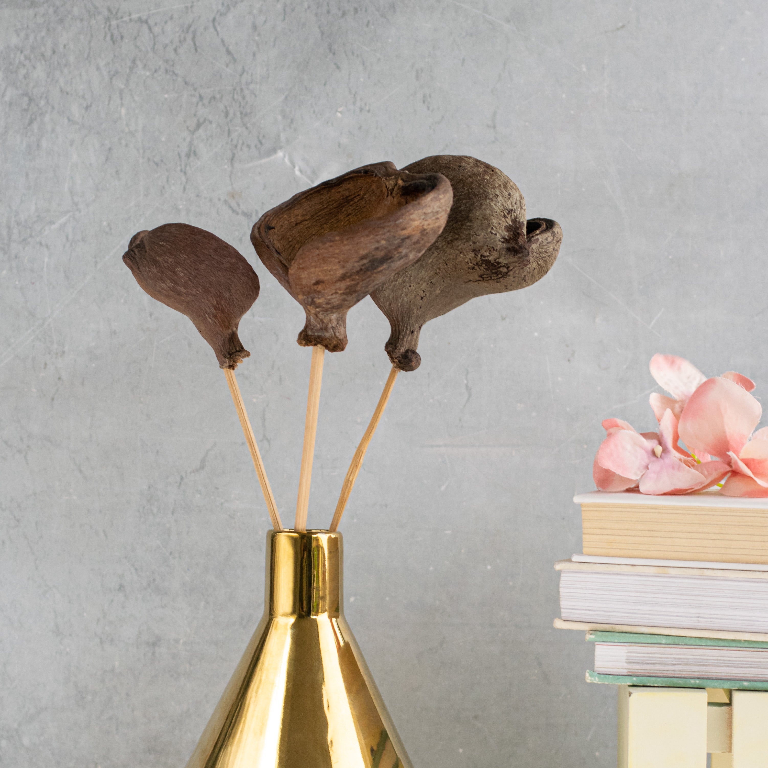 Vase Sticks Online Premium Dried Flower Stick Nestasia