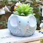 Elephant Planter - Indoor planters and flower pots | Home decor items