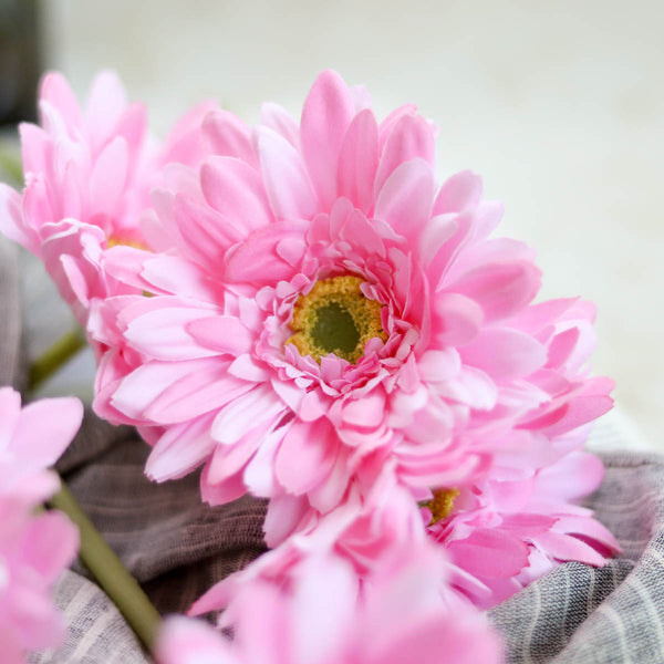 Gerbera Flower