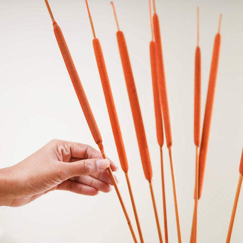 Cattail For Vase - Dried flower decorative sticks | Ecofriendly and natural home decor items