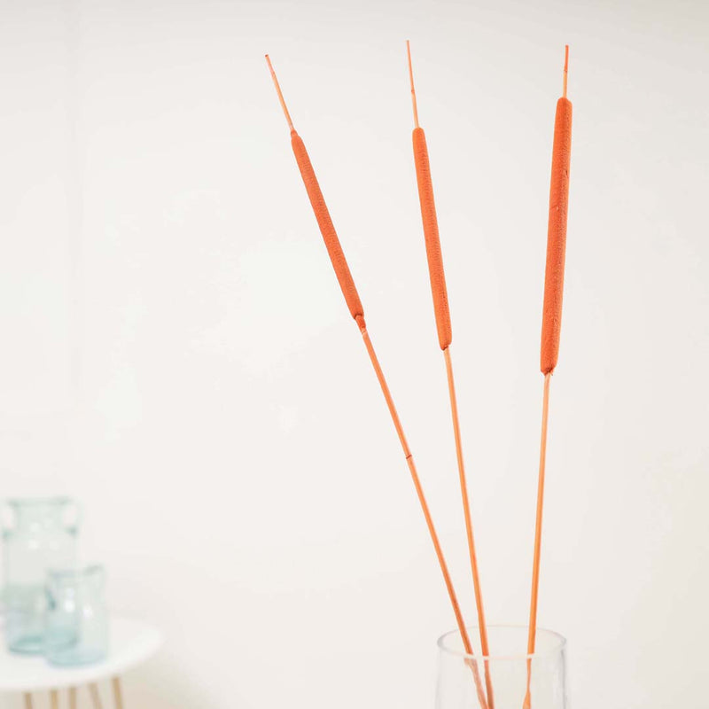 Cattail For Vase - Dried flower decorative sticks | Ecofriendly and natural home decor items