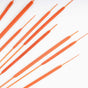 Cattail For Vase - Dried flower decorative sticks | Ecofriendly and natural home decor items