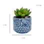 Owl Plant Pot - Indoor plant pots and flower pots | Home decoration items
