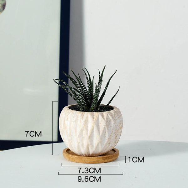 Succulent Planter