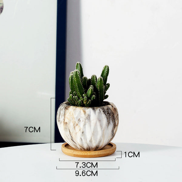 Succulent Planter