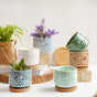 Owl Plant Pot - Indoor plant pots and flower pots | Home decoration items