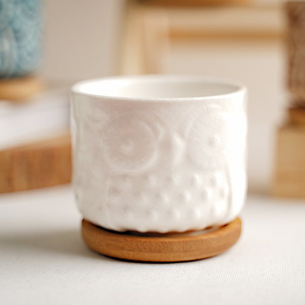 Owl Plant Pot