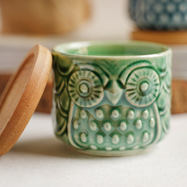 Owl Plant Pot