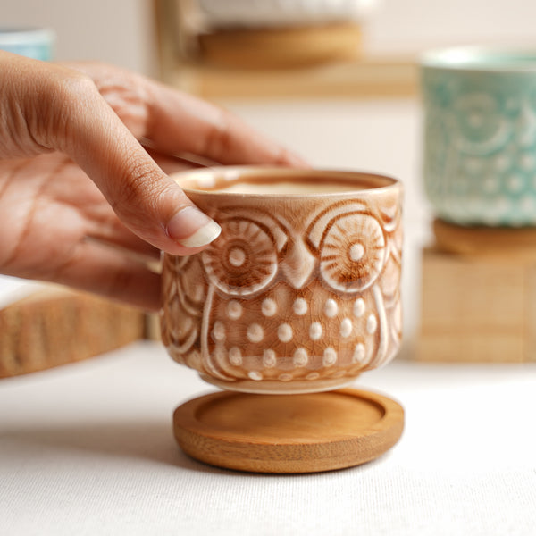 Owl Plant Pot