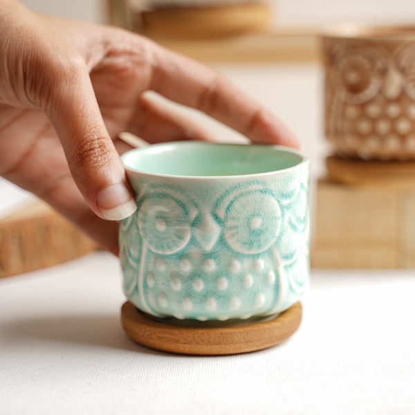 Owl Plant Pot