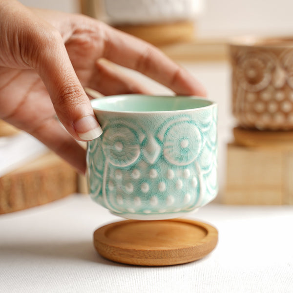 Owl Plant Pot