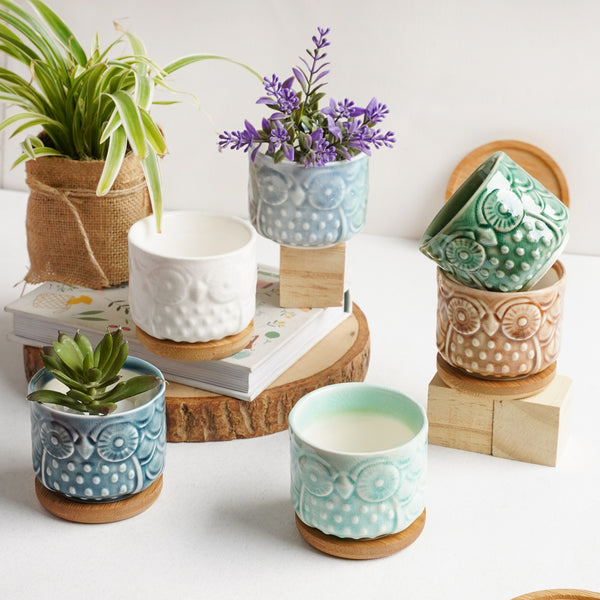 Owl Plant Pot