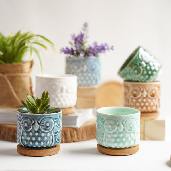 Owl Plant Pot