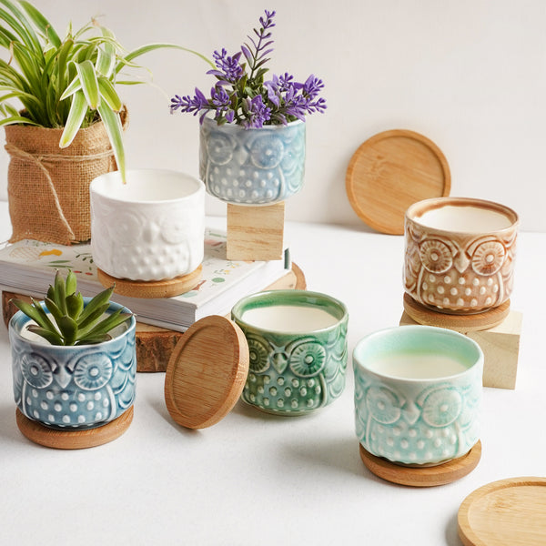 Owl Plant Pot