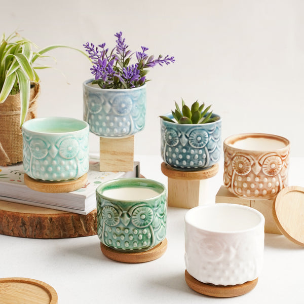 Owl Plant Pot