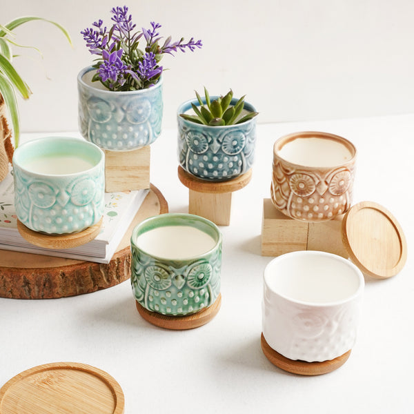 Owl Plant Pot