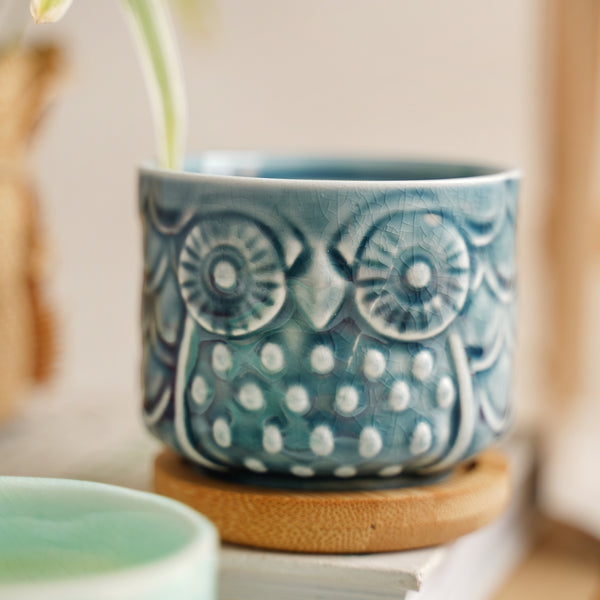 Owl Plant Pot