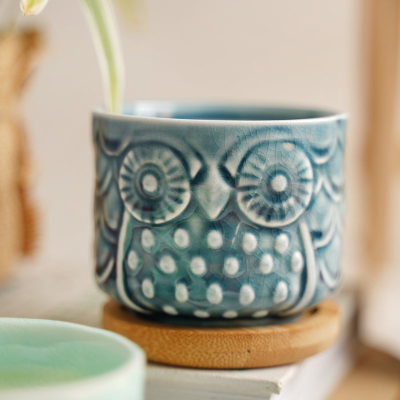 Owl Plant Pot - Indoor plant pots and flower pots | Home decoration items