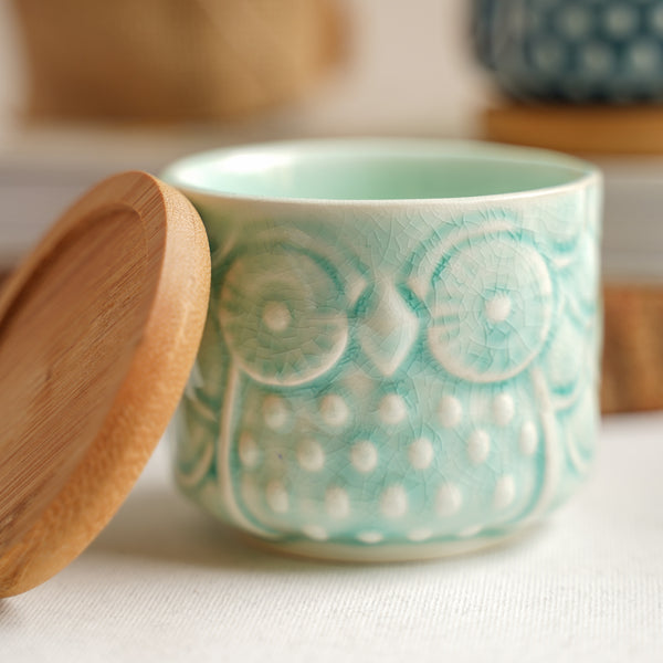 Owl Plant Pot