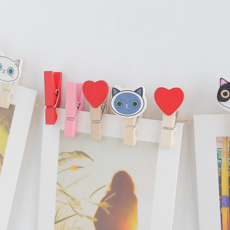 Picture Hanging Clips