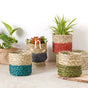 Small Planter Basket - Basket | Flower basket