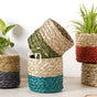 Small Planter Basket - Basket | Flower basket