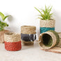 Small Planter Basket - Basket | Flower basket