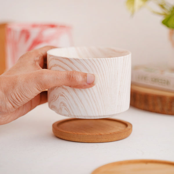 Succulent Plant Pot