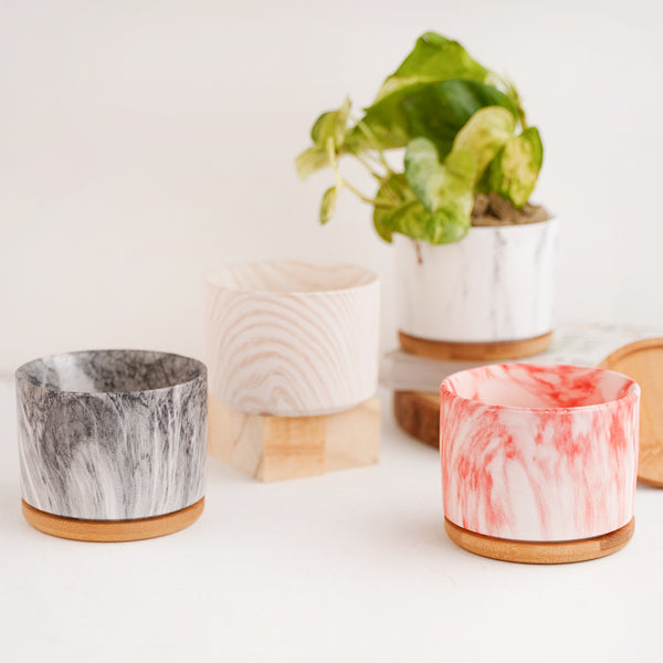 Succulent Plant Pot